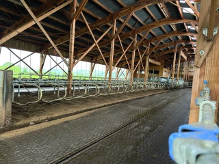 La stabule du bonheur