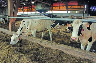 Les conseils pour adapter les bâtiments  aux fortes températures