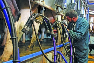 Traite : ces petits gestes qui préservent la santé