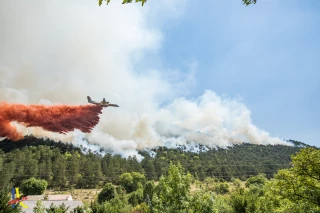 Une formation pour les propriétaires forestiers