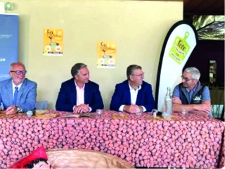 Le saint-marcellin et la noix font la fête