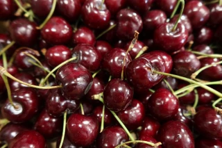 « La cerise risque de redevenir un produit de niche »