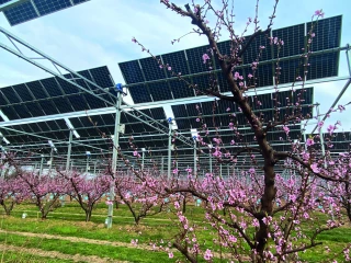 La Sefra, de multiples expérimentations