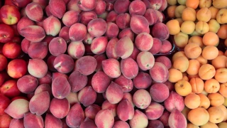 En abricots et pêches, des marchés qui se tiennent