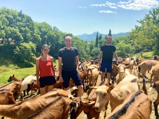 À Mornans, une aire naturelle près de la chevrerie 