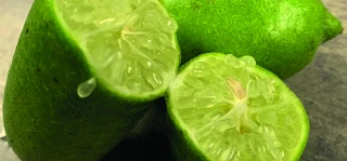 Les microclimats, des écrins hors du réchauffement climatique