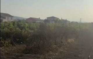 Incendie dans l'Aude : les viticulteurs attendent « un fonds d'urgence »