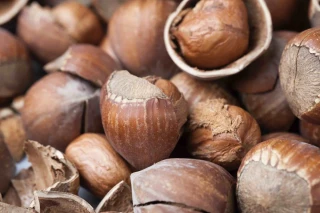  Loi Duplomb : la filière noisettes a fait ses comptes