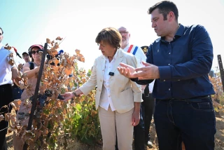 Incendies dans l'Aude : l’État débloque un fonds d’urgence de 8 millions d’euros