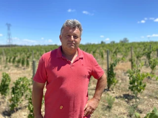 « Trop de vin et pas assez de consommateurs »