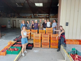 Collections fruitières : quand la recherche nourrit la solidarité