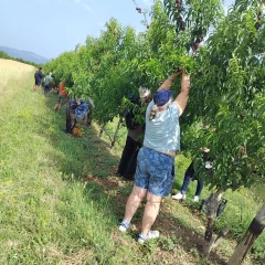 Un réseau associatif mobilisé