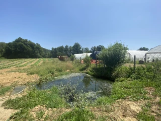 Transformer les inconvénients en atouts