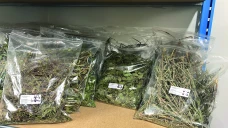 Elixens France renforce son offre aromatique