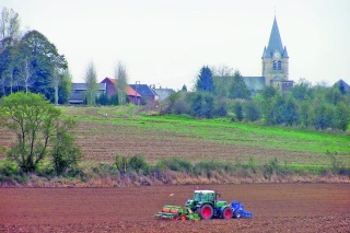 Le semis et la gestion des mauvaises herbes