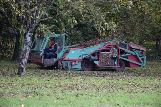 Importations américaines de noix à droit nul  : « On sacrifie une filière française d’excellence »