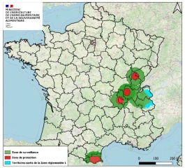 Dermatose nodulaire contagieuse : le gouvernement renforce les restrictions sur les mouvements de bovins