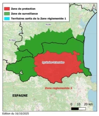 Bovins/DNC : trois nouveaux foyers dans les Pyrénées-Orientales