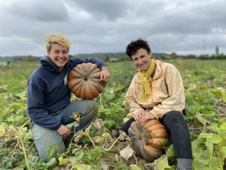 Les producteurs de courges se préparent à la foire 