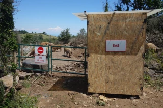 Peste porcine africaine : un audit de biosécurité 100 % gratuit