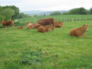 Paiement de l’avance des aides PAC