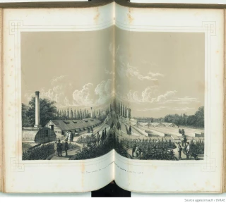 Voyage au cœur de la flore des serres et des jardins d’Europe