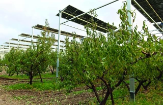 Sous tension financière, l'expérimentation agricole cherche à réinventer son modèle