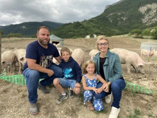 Aux cochons d’Ausson, bientôt des naissances à la ferme