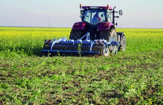 Pyrale, sésamie : la protection des maïs 2026 commence dès maintenant ! 