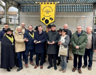 Dans le Sud-Drôme, la truffe noire gagne du terrain