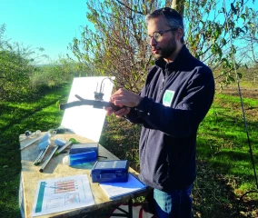 Des dendromètres pour piloter l’irrigation  selon le niveau de stress hydrique