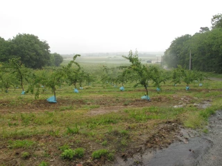 Excès de pluies de février à avril 2025 : la procédure d'indemnisation ouverte