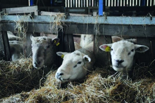 Les prochaines dates...