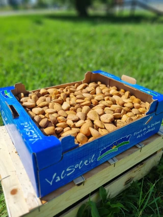 Valsoleil cherche des producteurs d'amandes 