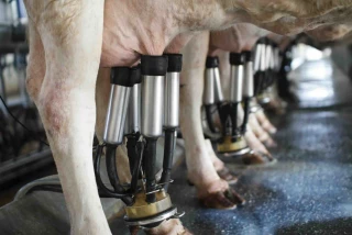  La FNPL alerte sur le prix du lait