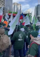 La signature de l'accord Mercosur reportée à janvier