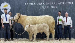 Pas de bovins au prochain Salon de l’Agriculture ?