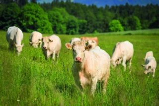 Les prochaines dates