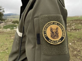 Un loup en situation d’attaque tué à Piégros la Clastre