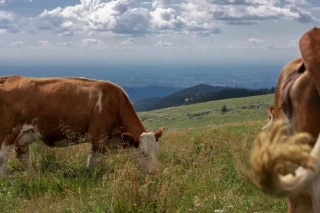 DNC : la zone réglementée BFC est levée