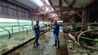 Bâtiments d'élevage : bien-être animal, aménagement et nouvelles technologies