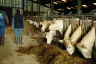  Réouverture du guichet au printemps 2026