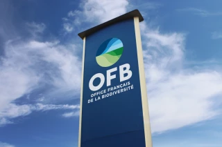 Après l'émoi suscité par une nomination à la direction de l'OFB, une enquête administrative est ouverte