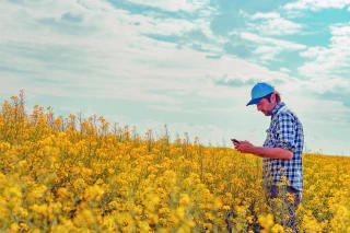 L’IA : une nouvelle révolution agricole en marche