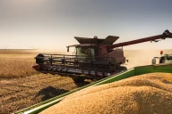 Exploitations de grandes cultures en difficulté : une aide exceptionnelle à demander d'ici le 7 avril