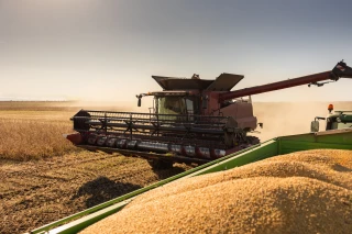 Exploitations de grandes cultures en difficulté : une aide exceptionnelle à demander d'ici le 7 avril