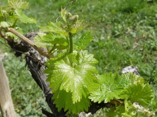 Les prochaines dates