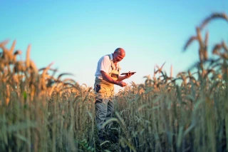 L'agriculture régénératrice a le vent en poupe