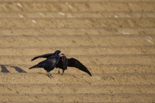 Une application pour signaler et alerter