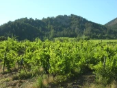 Les prochaines dates